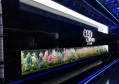 杭州萧山区临浦镇附近ktv招聘点歌公主,应聘有哪些要求